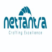 Thumbnail for NetTantra Technologies is Hiring | Front-end Developer